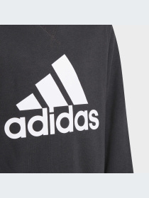 Худи и свитшоты Adidas модель GN4029-KZ Фото