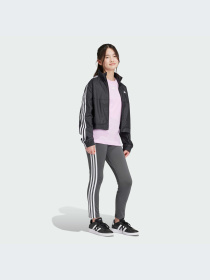 Брюки Adidas модель IR7517-KZ Фото
