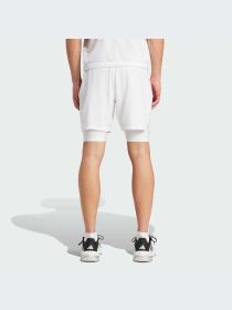 Шорты Adidas модель IS8097-KZ Фото