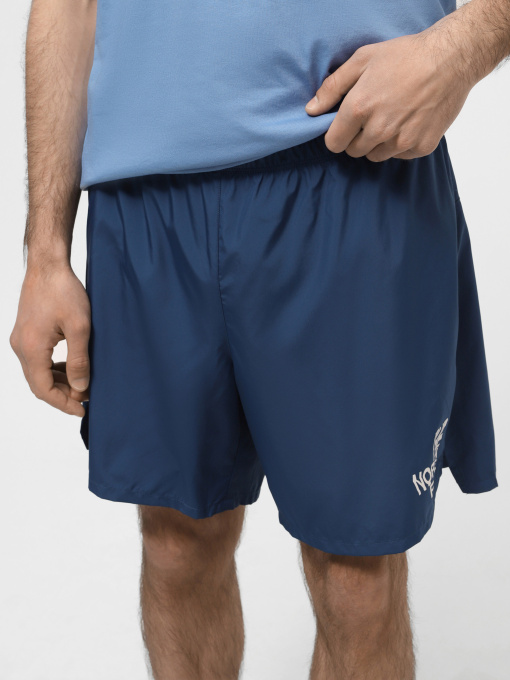 Шорты The North Face модель NF0A7ZU4SOO1 Фото