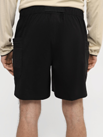 Шорты The North Face модель NF0A86QJJK31 Фото