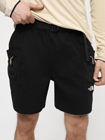 Шорты The North Face модель NF0A86QJJK31 Фото