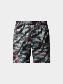 Шорты The North Face модель NF0A86QMSIR1 Фото