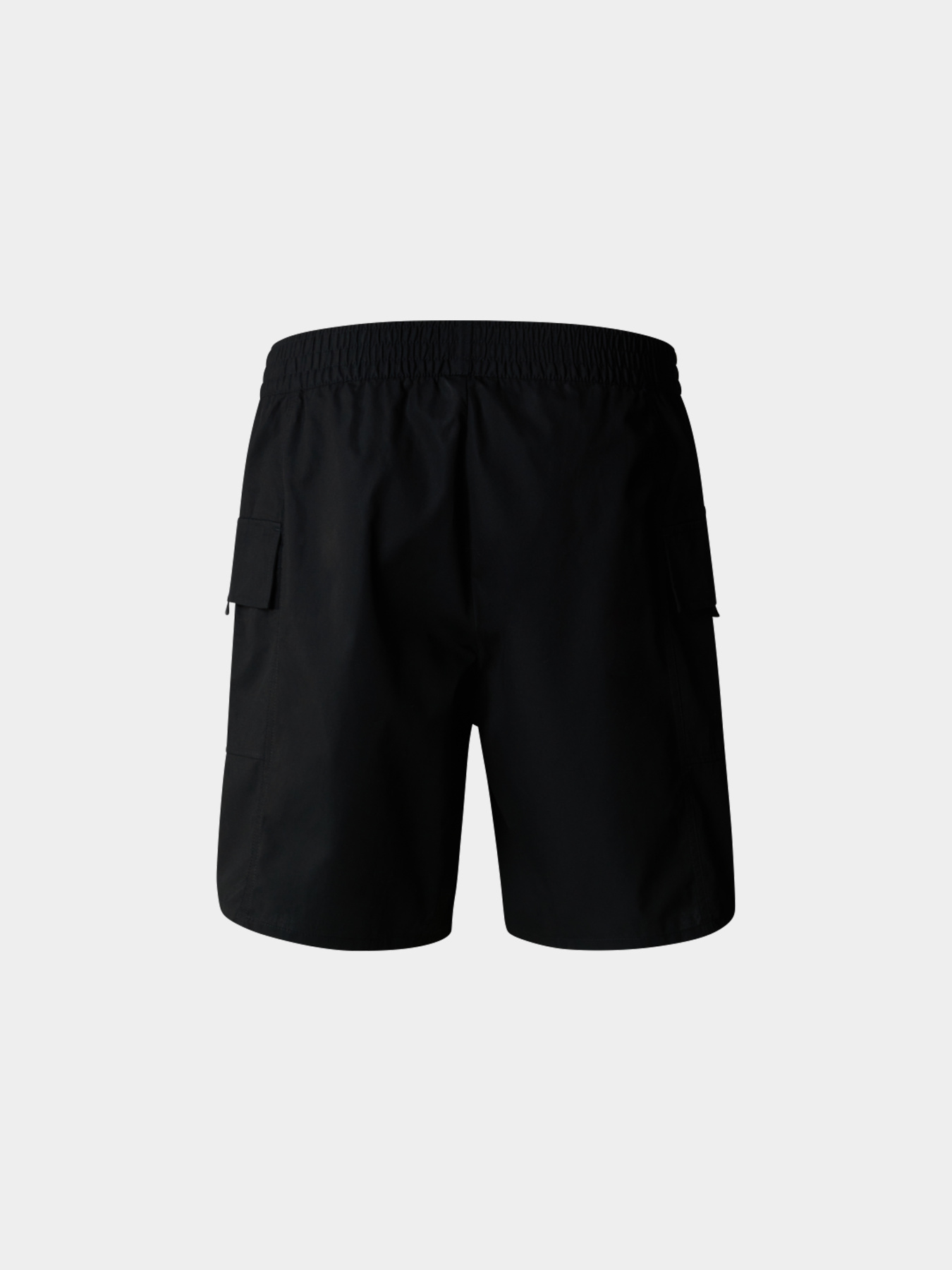 Шорты The North Face модель NF0A879BJK31 Фото
