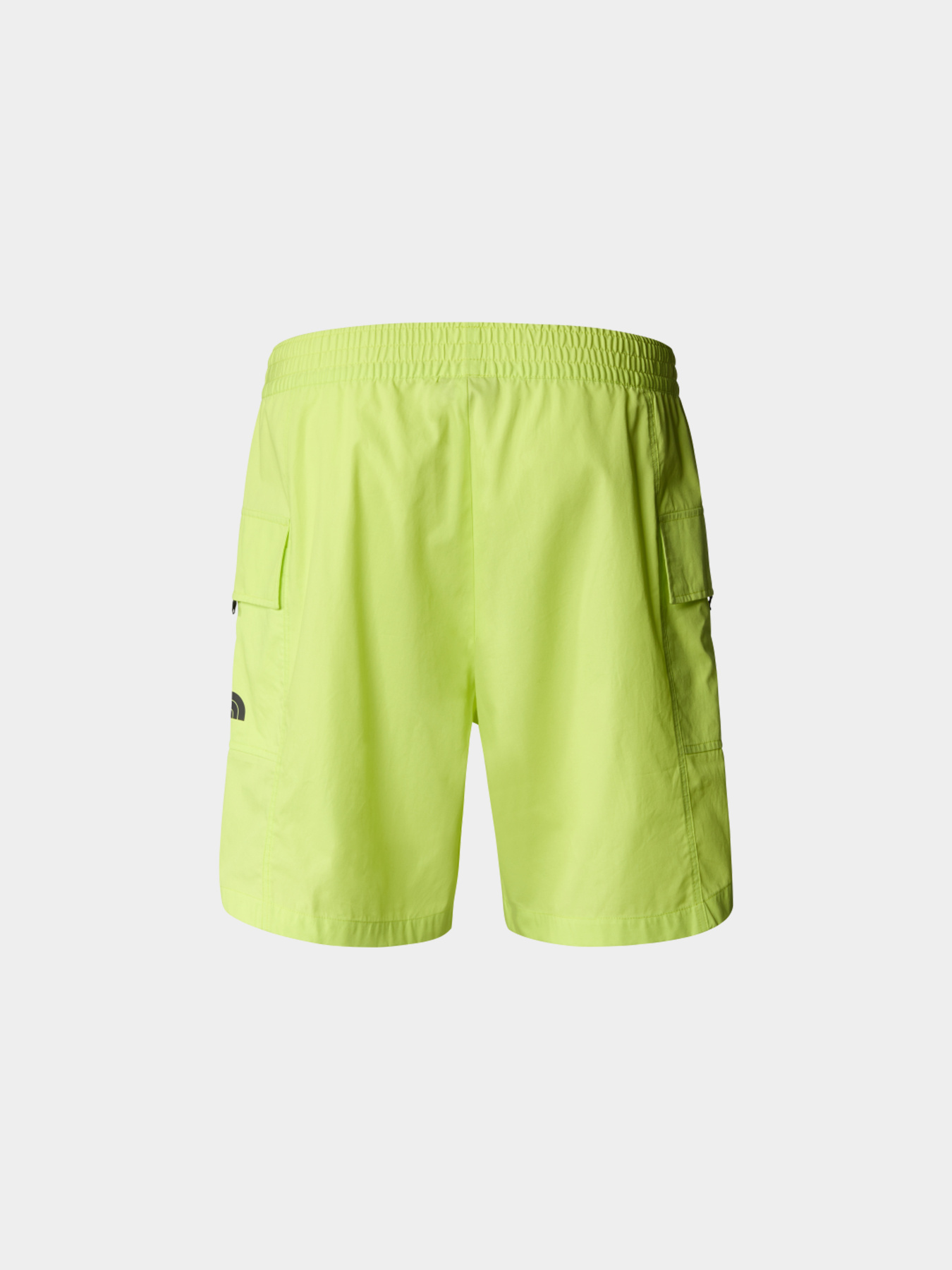 Шорты The North Face модель NF0A879BRIQ1 Фото