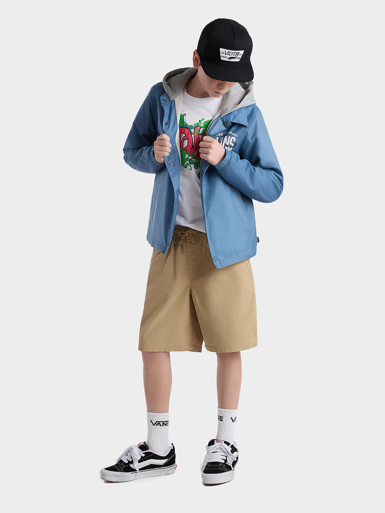 Футболки и поло Vans модель VN000GEVWHT1 Фото
