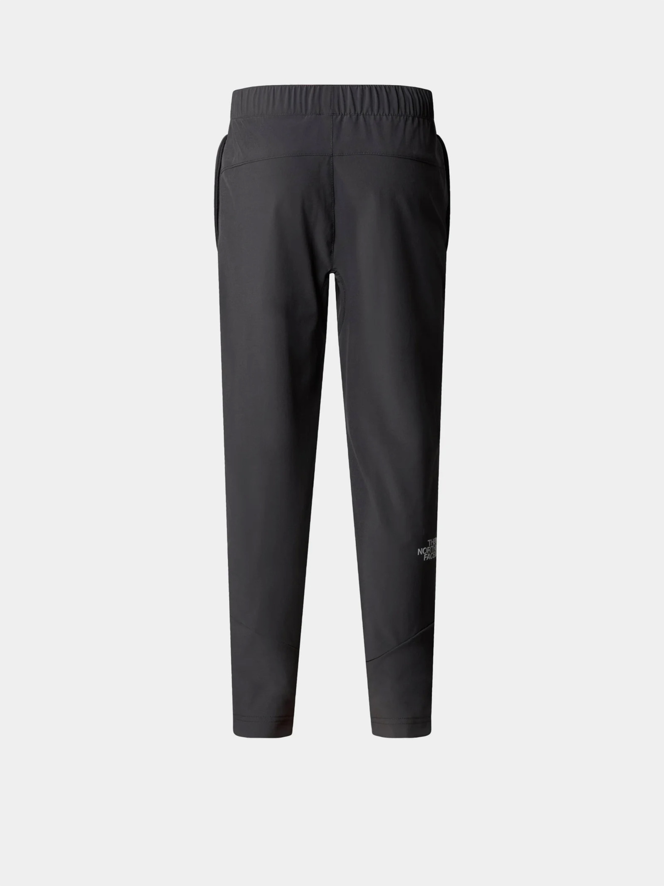 Брюки The North Face модель NF0A89PW0C51 Фото