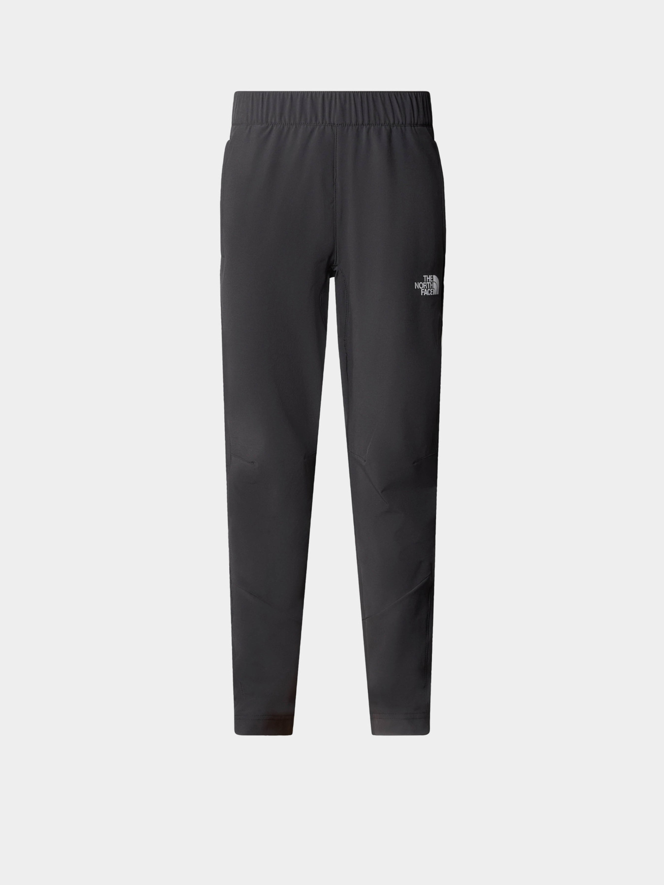 Брюки The North Face модель NF0A89PW0C51 Фото