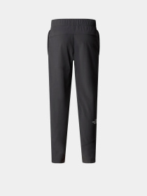 Брюки The North Face модель NF0A89PW0C51 Фото