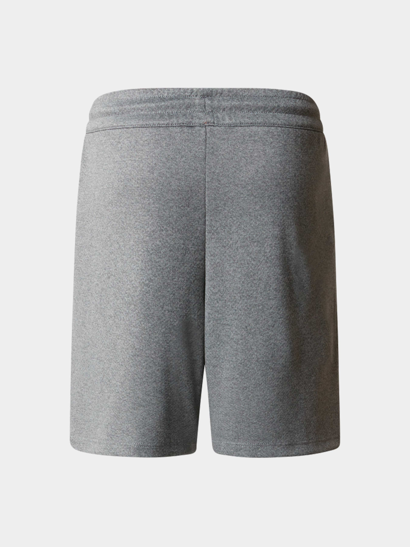 Шорты The North Face модель NF0A86U4DYY1 Фото
