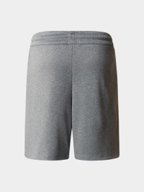 Шорты The North Face модель NF0A86U4DYY1 Фото