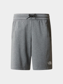 Шорты The North Face модель NF0A86U4DYY1 Фото