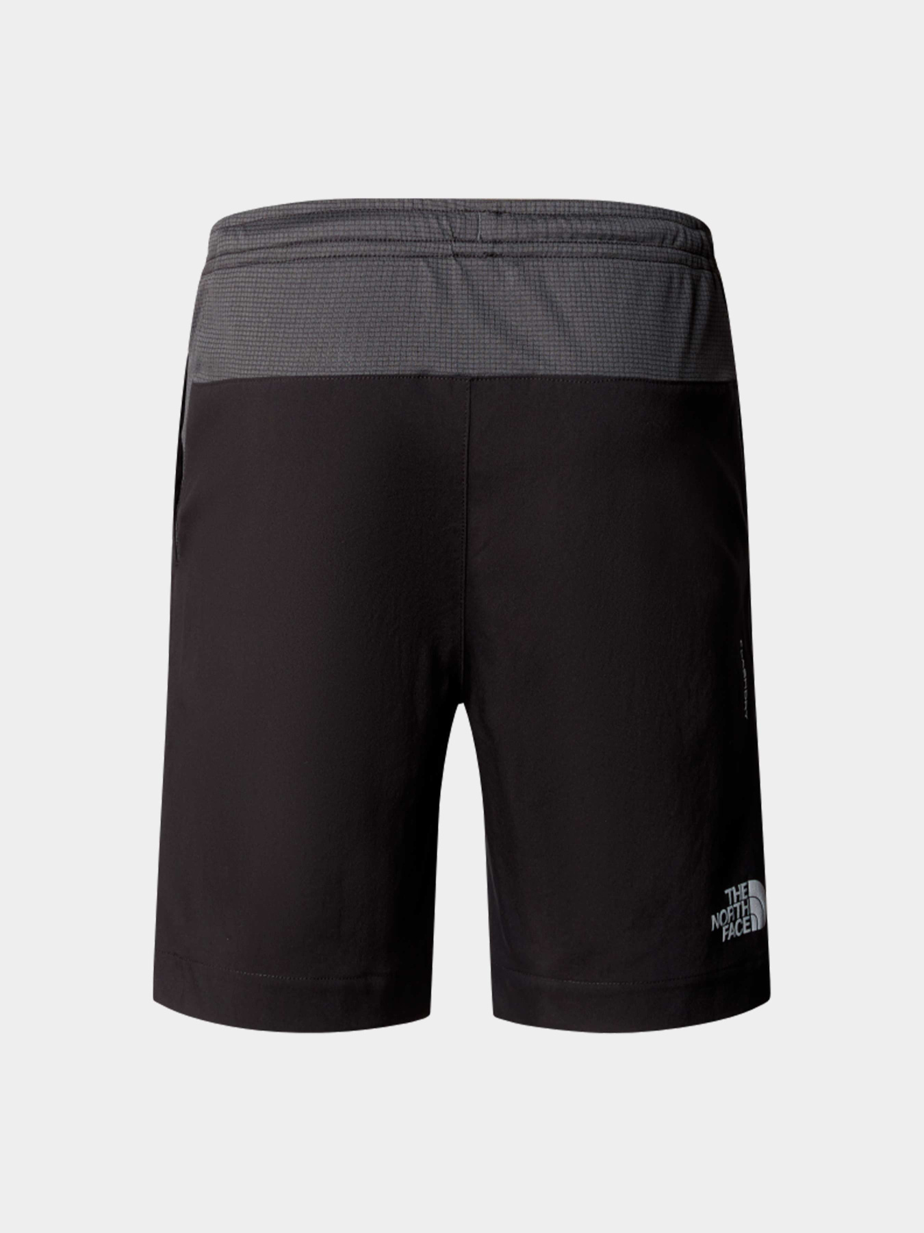 Шорты The North Face модель NF0A89PPKT01 Фото