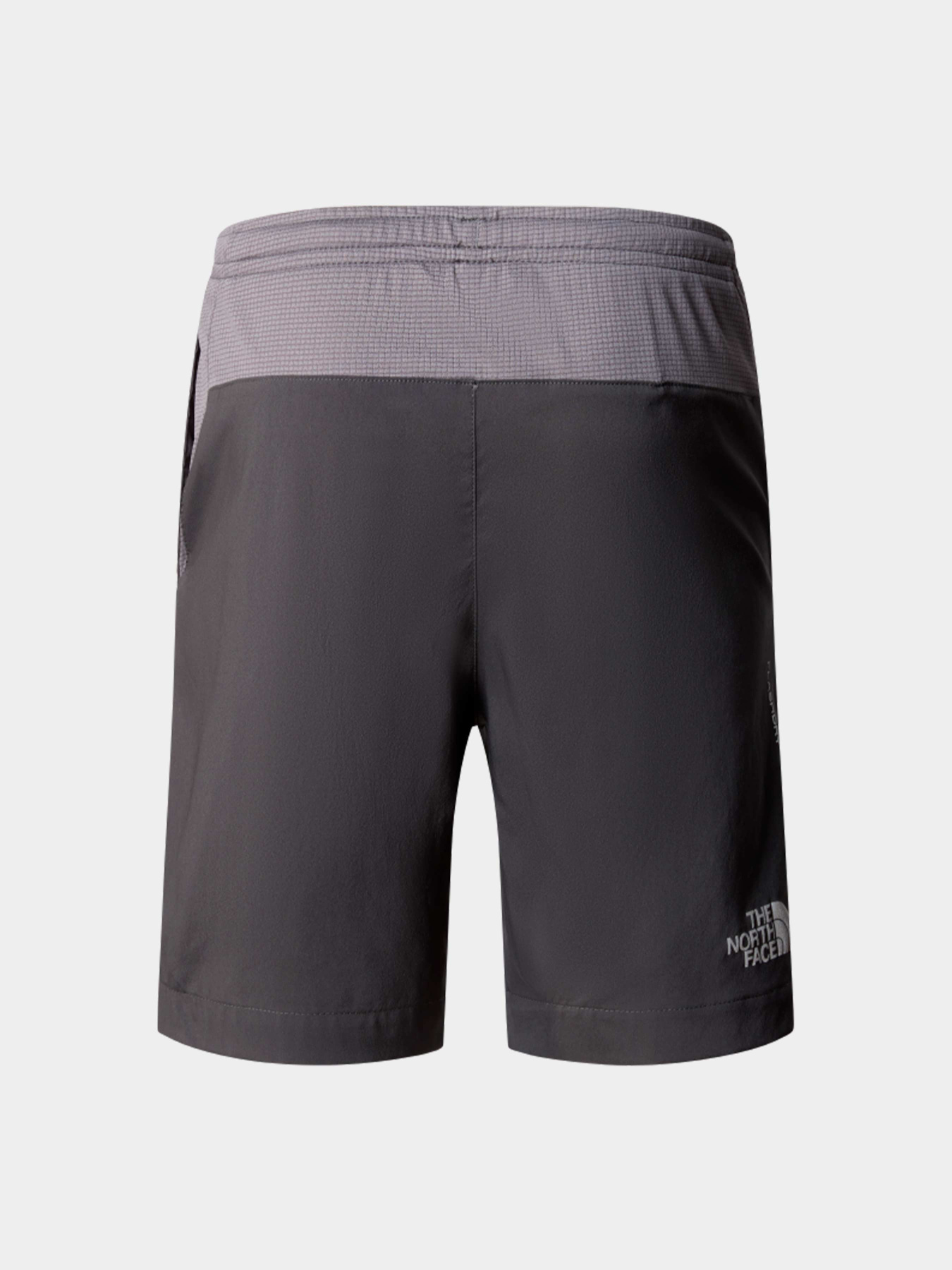 Шорты The North Face модель NF0A89PPU3I1 Фото