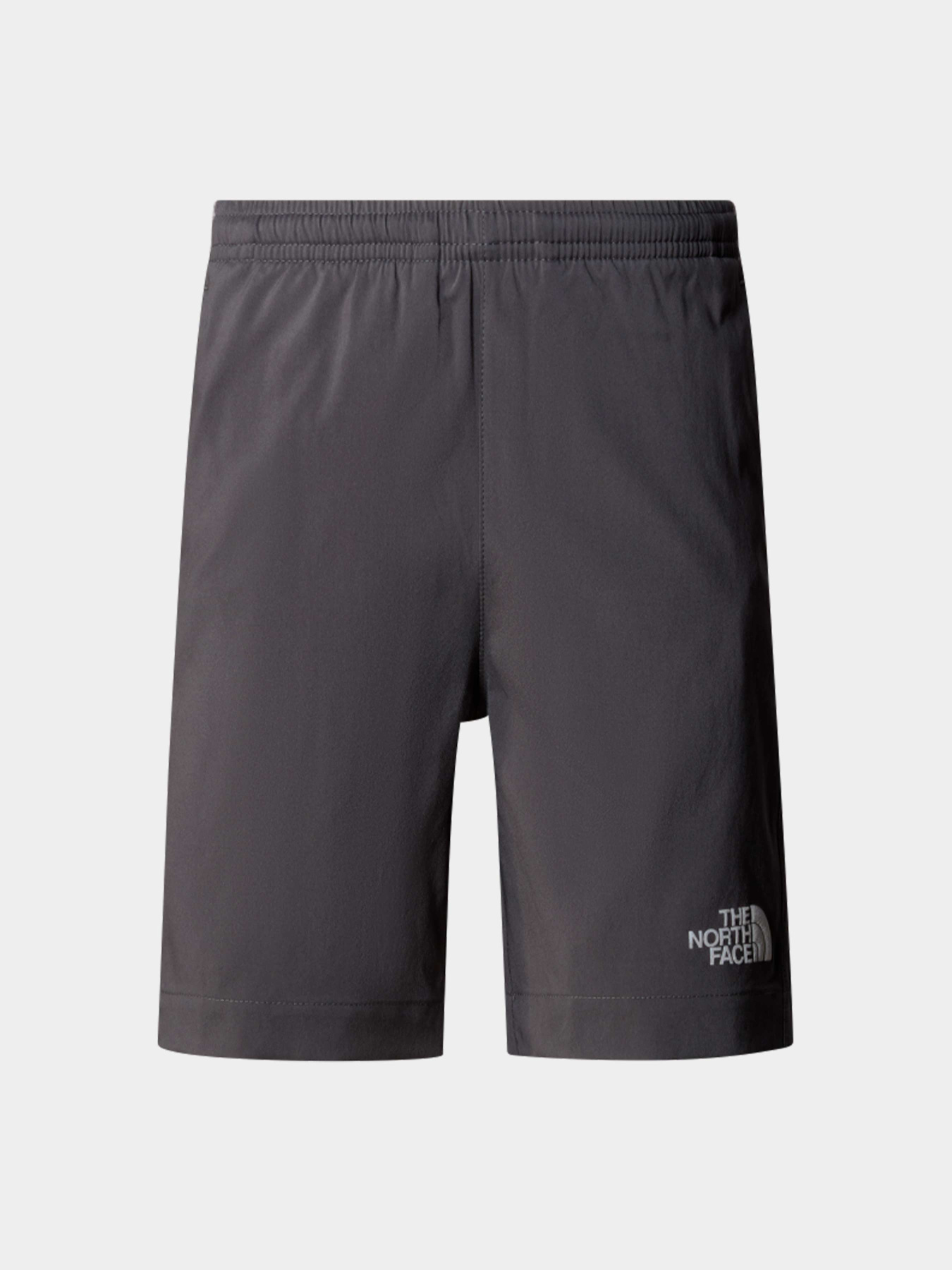 Шорты The North Face модель NF0A89PPU3I1 Фото