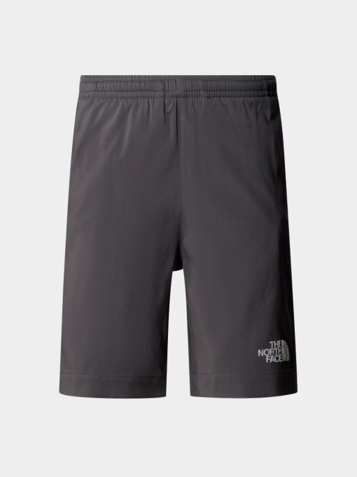 Шорты The North Face модель NF0A89PPU3I1 Фото