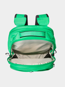 Рюкзаки The North Face модель NF0A52SEROJ1 Фото