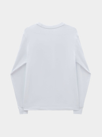 Худи и свитшоты Vans модель VN000FG6WHT1 Фото