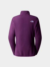 Худи и свитшоты The North Face модель NF0A855MV6V1 Фото
