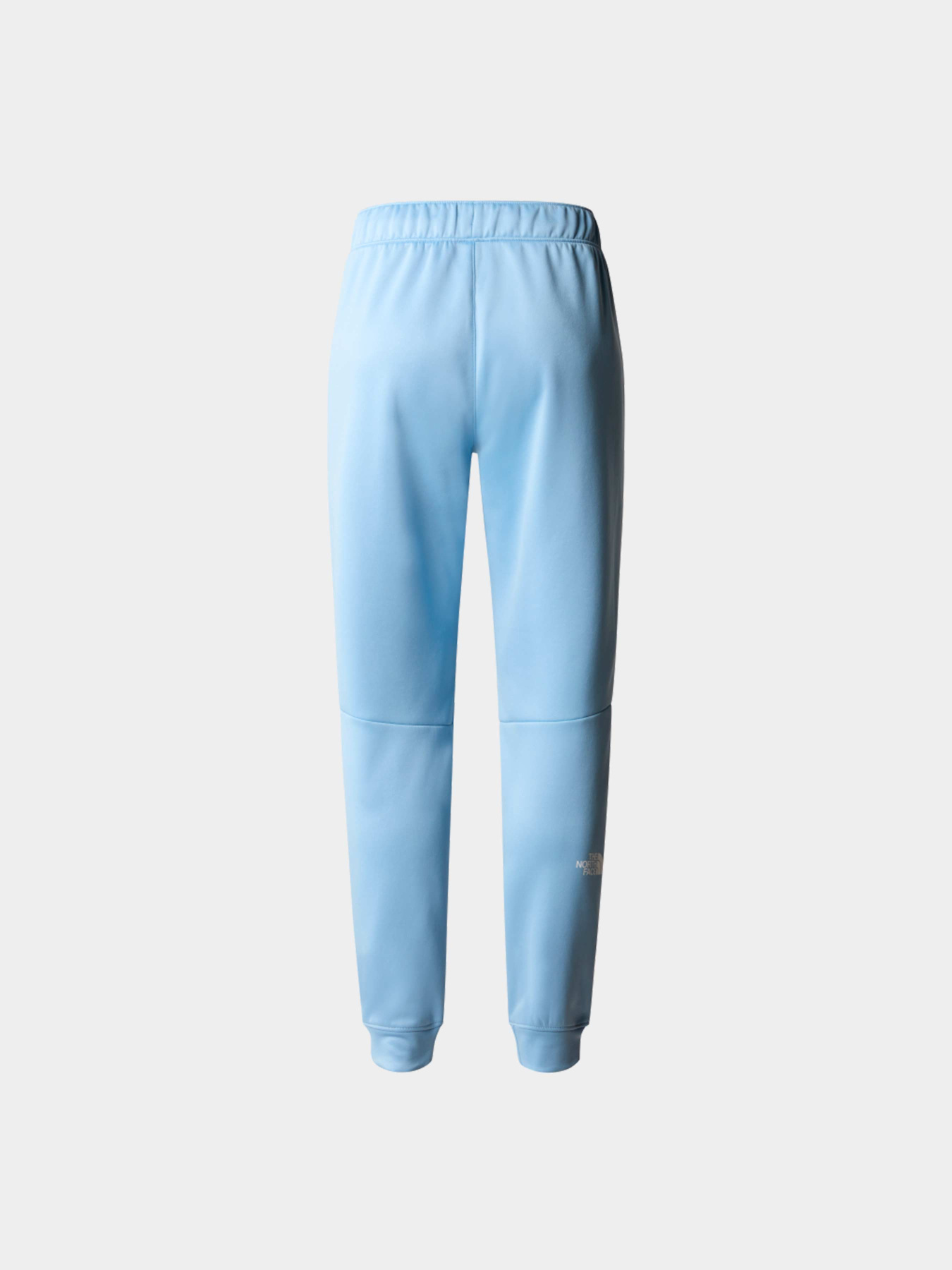 Брюки The North Face модель NF0A7ZABQEO1 Фото