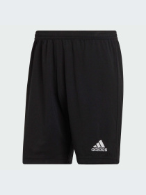 Шорты Adidas модель H57504-KZ Фото