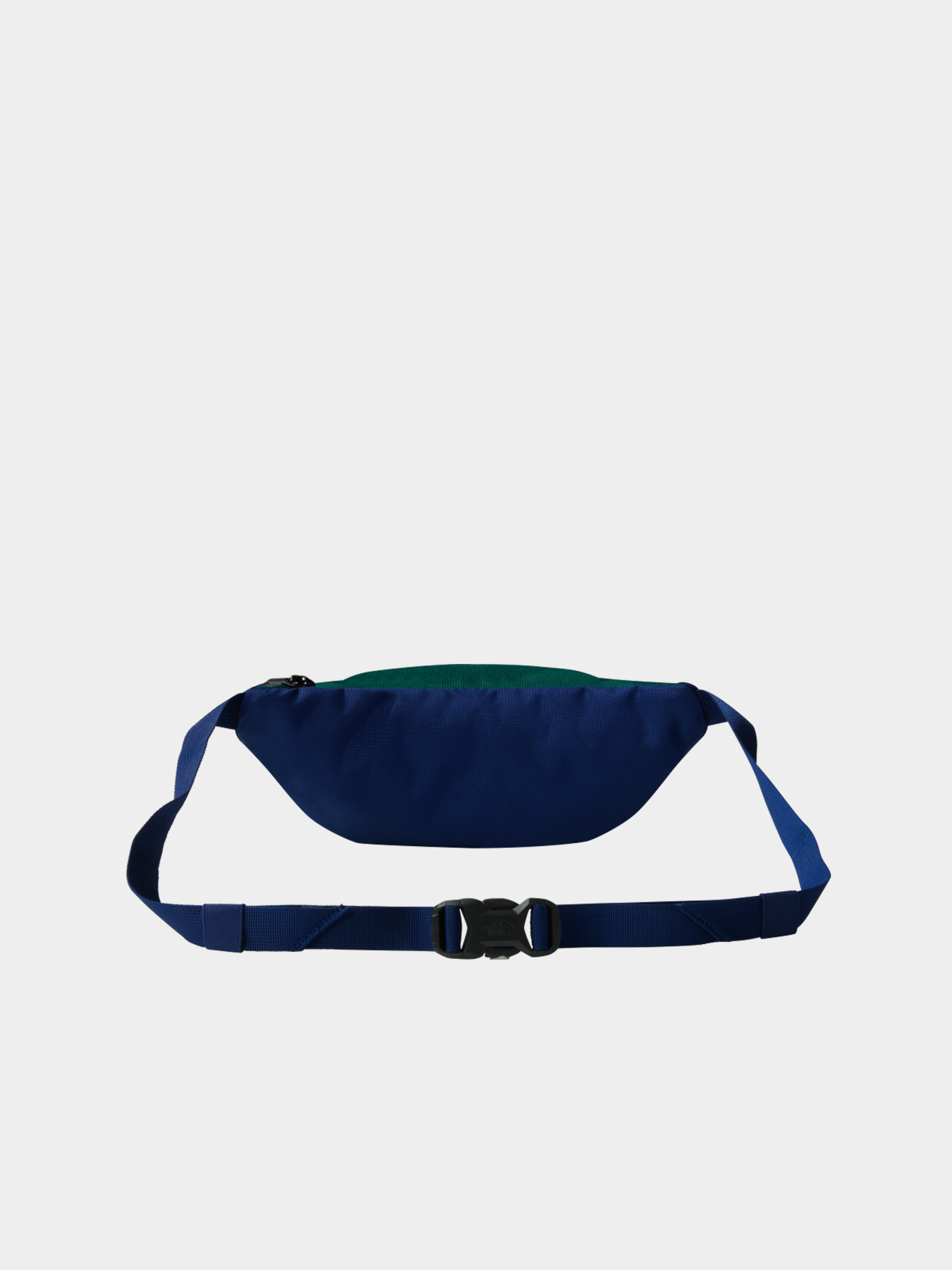 Сумки The North Face модель NF0A52TM9O81 Фото