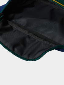 Сумки The North Face модель NF0A52TM9O81 Фото