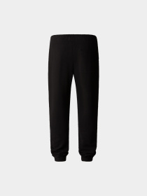 Брюки The North Face модель NF0A89CZJK31 Фото