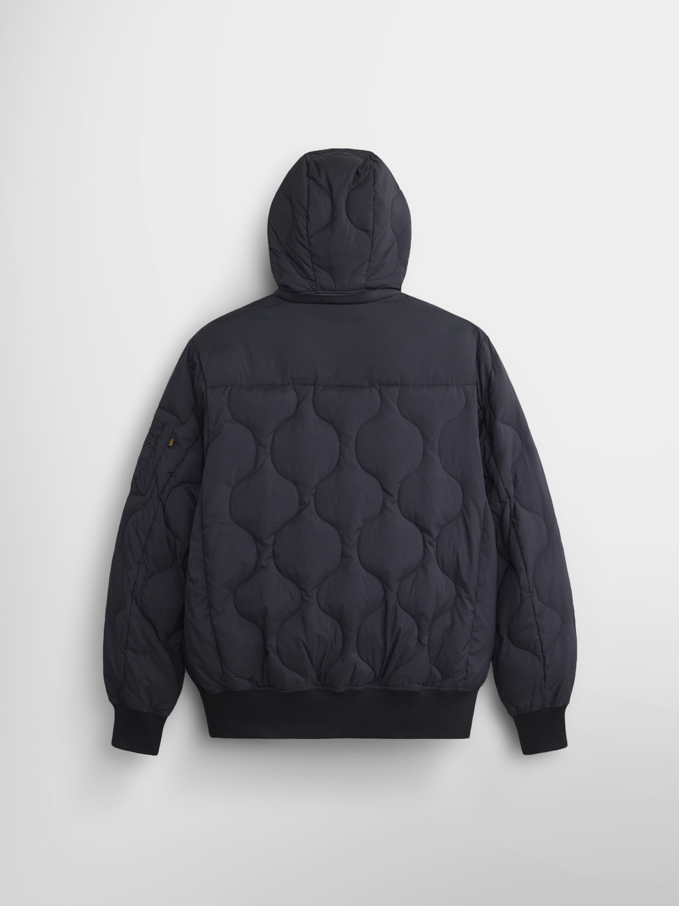 Куртки и дубленки Alpha Industries модель MJL54501C1_001 Фото