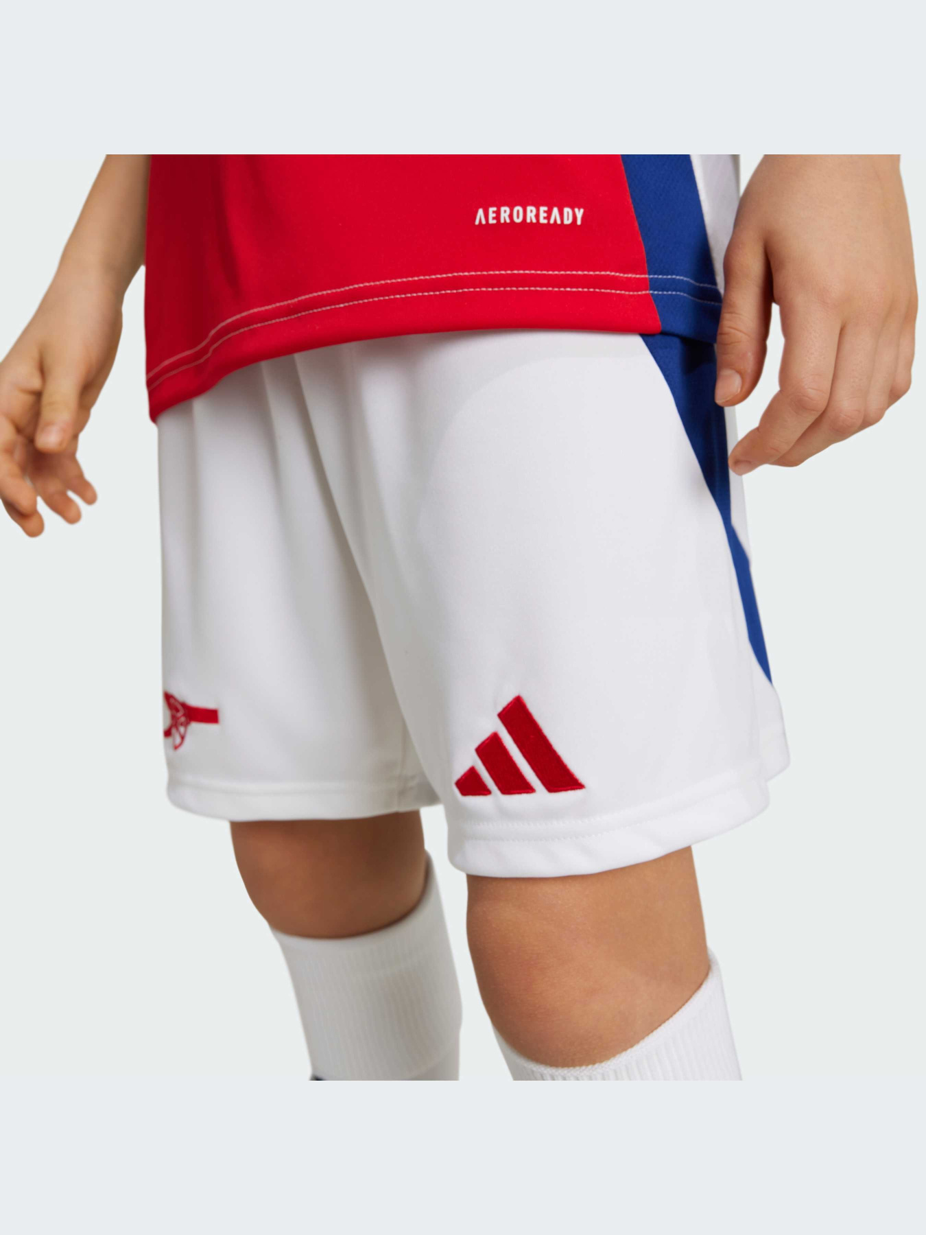 Шорты Adidas модель IS8136-KZ Фото