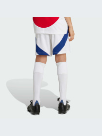 Шорты Adidas модель IS8136-KZ Фото