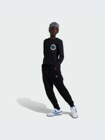 Худи и свитшоты Adidas Graphics модель IY5454-KZ Фото