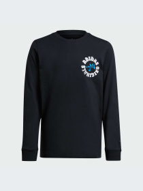 Худи и свитшоты Adidas Graphics модель IY5454-KZ Фото