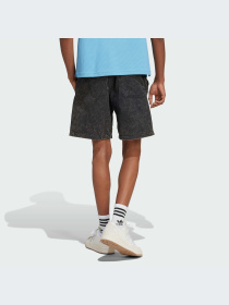 Шорты Adidas Graphics модель IZ2548-KZ Фото