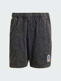 Шорты Adidas Graphics модель IZ2548-KZ Фото
