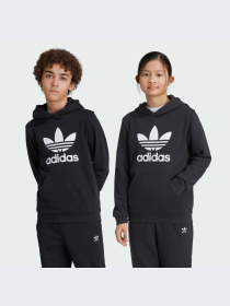 Худи и свитшоты Adidas Adicolor модель IY7446-KZ Фото