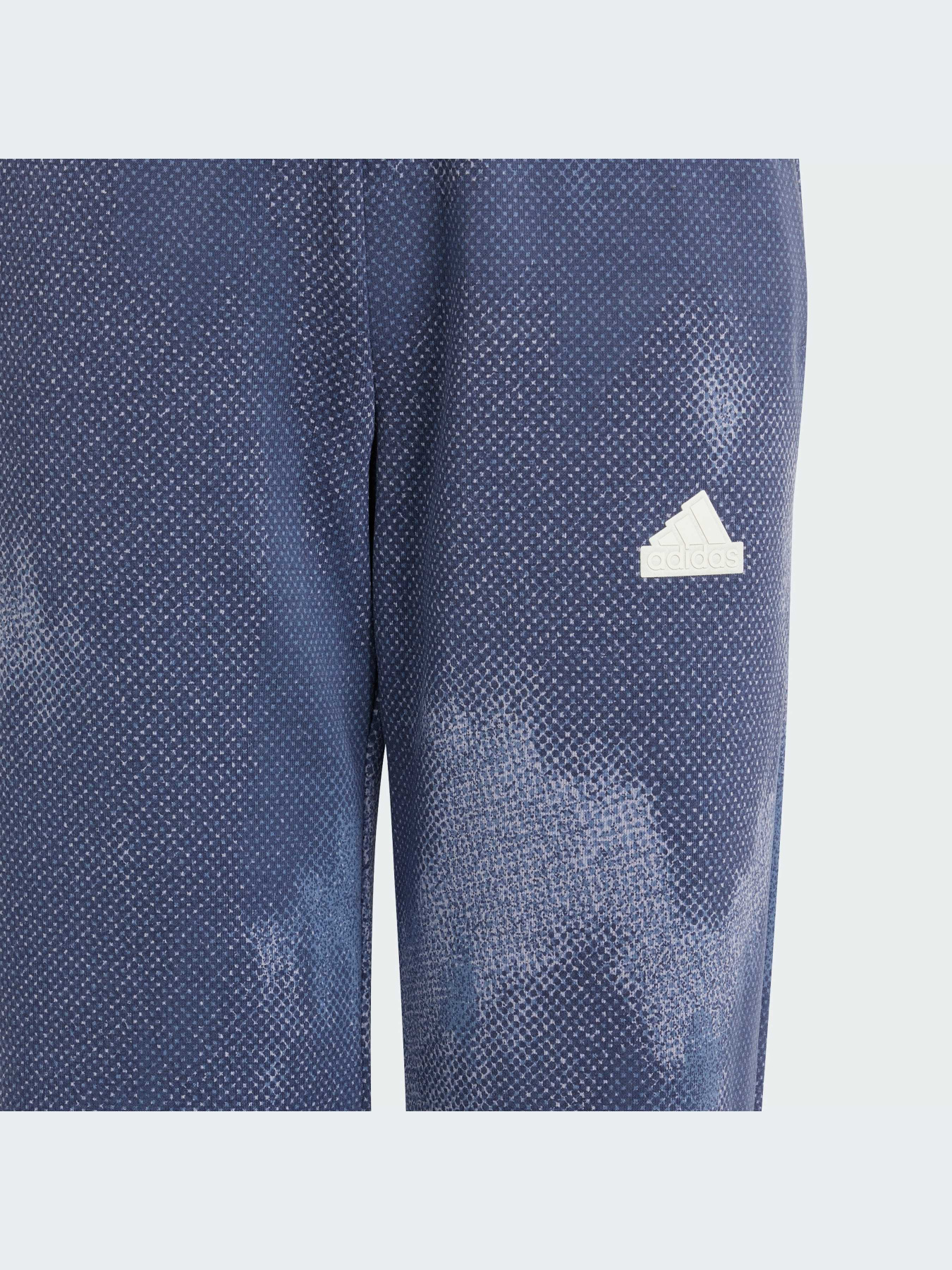 Брюки Adidas модель IT9039-KZ Фото