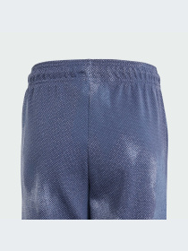 Брюки Adidas модель IT9039-KZ Фото