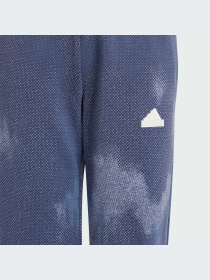 Брюки Adidas модель IT9039-KZ Фото