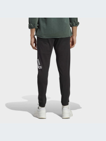 Брюки Adidas модель IC9400-KZ Фото
