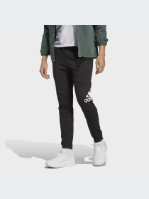 Брюки Adidas модель IC9400-KZ Фото