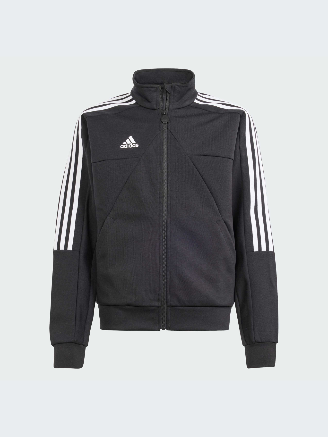 Худи и свитшоты Adidas Tiro модель IS4346-KZ Фото