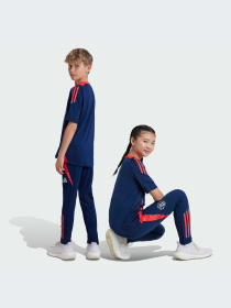Брюки Adidas Tiro модель IT2025-KZ Фото