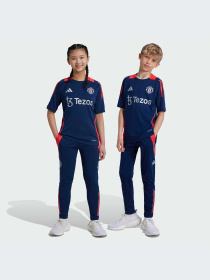Брюки Adidas Tiro модель IT2025-KZ Фото