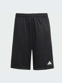 Шорты Adidas Clima модель IV9578-KZ Фото