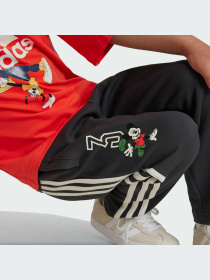 Брюки Adidas модель IV9627-KZ Фото