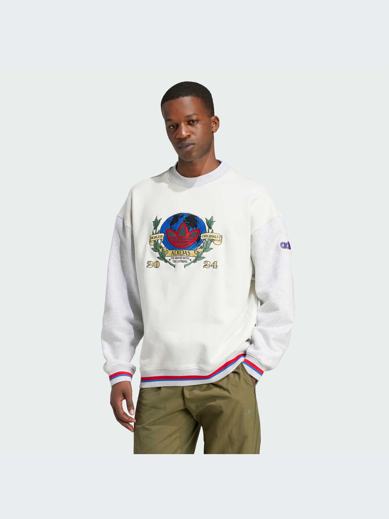 Худи и свитшоты Adidas Graphics модель IX6755-KZ Фото