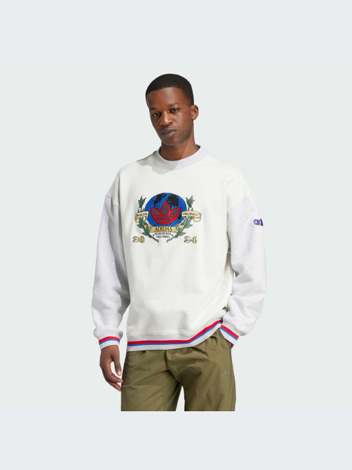 Худи и свитшоты Adidas Graphics модель IX6755-KZ Фото