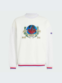 Худи и свитшоты Adidas Graphics модель IX6755-KZ Фото