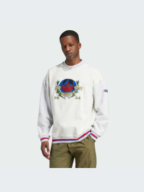 Худи и свитшоты Adidas Graphics модель IX6755-KZ Фото